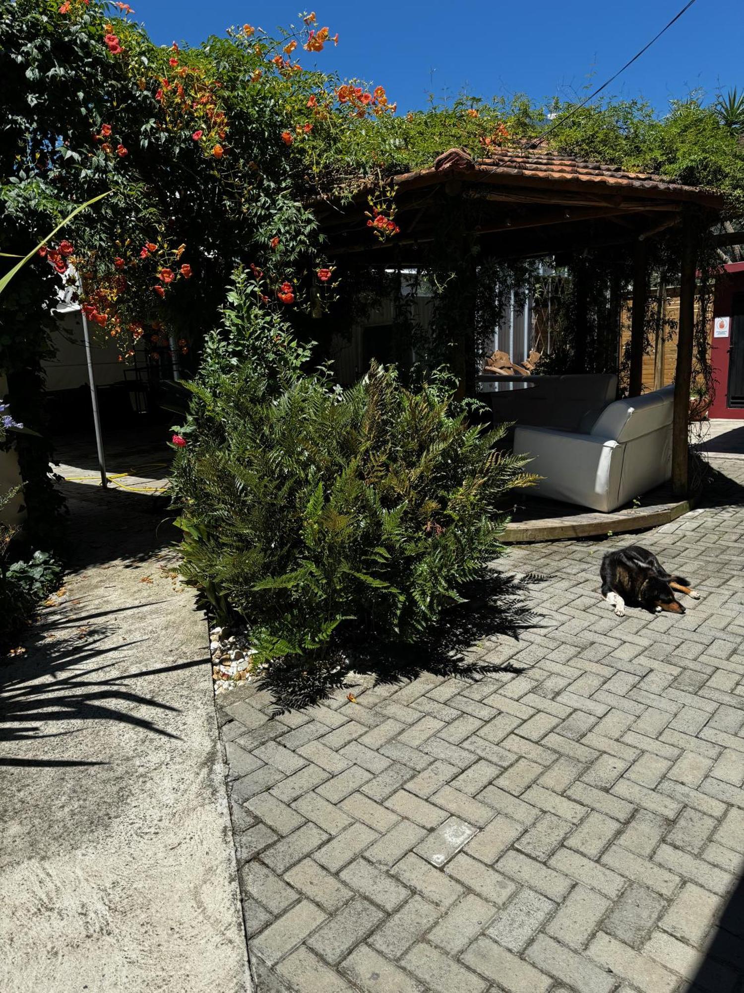 Pousada das Flores Urubici Exterior foto
